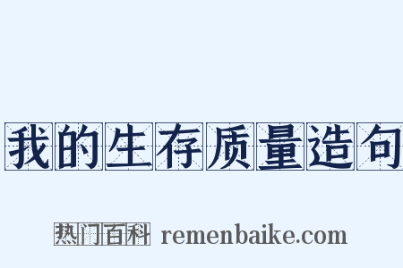 我的生存质量造句是什么意思的图片